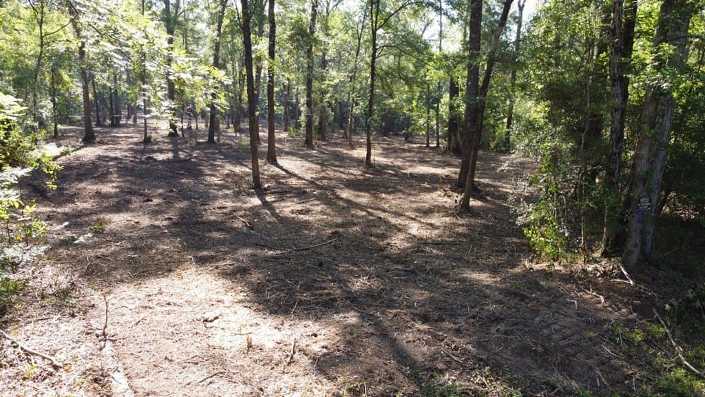 6.5 acres in Texas County featured view