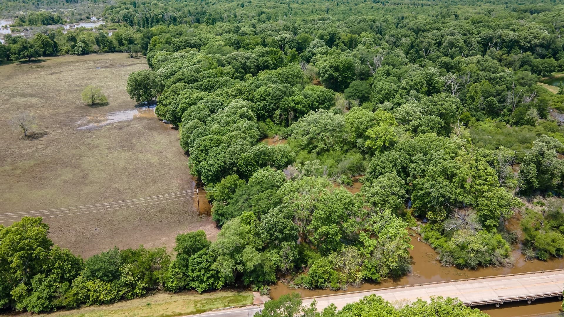 54.13 acres in Henderson County - photo 14