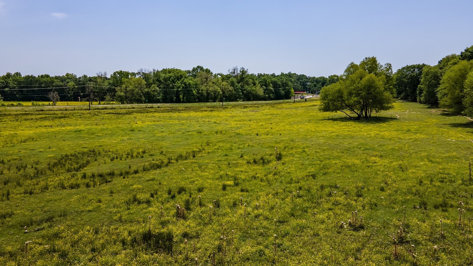 54.13 acres in Henderson County - photo 7
