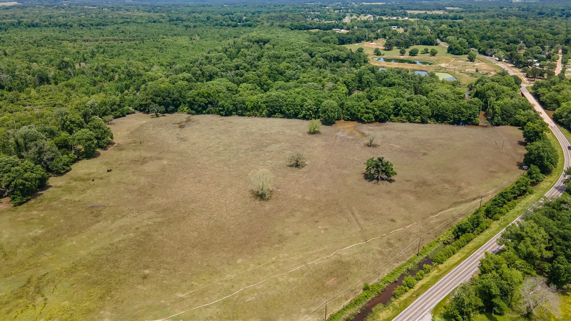 54.13 acres in Henderson County - photo 9