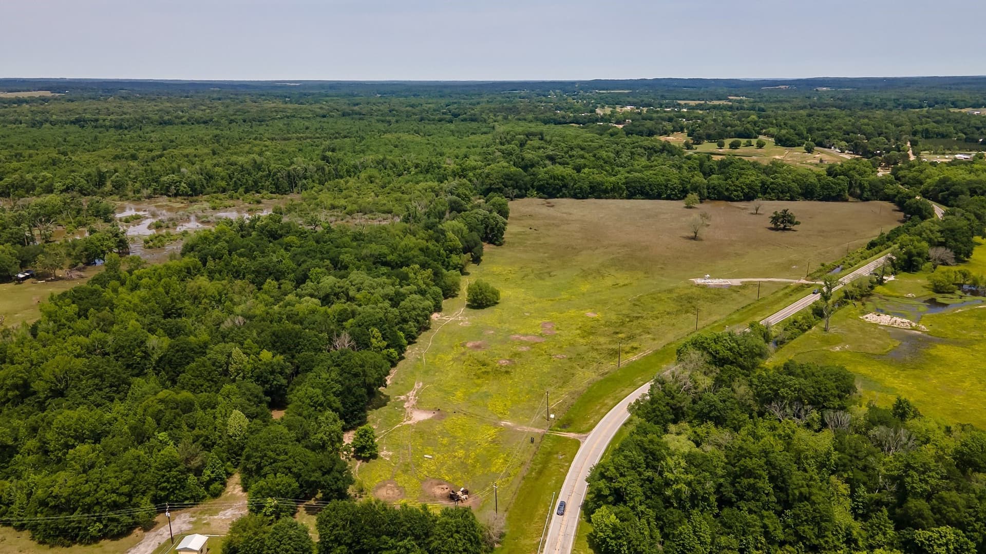 54.13 acres in Henderson County gallery image 2