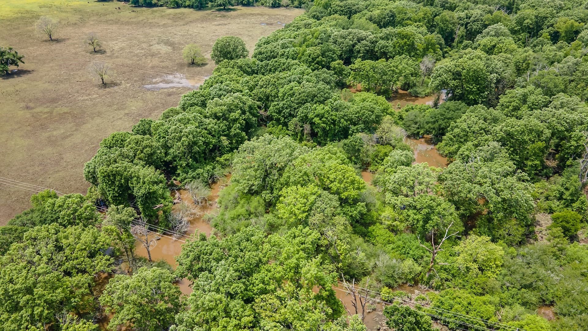 54.13 acres in Henderson County - photo 13