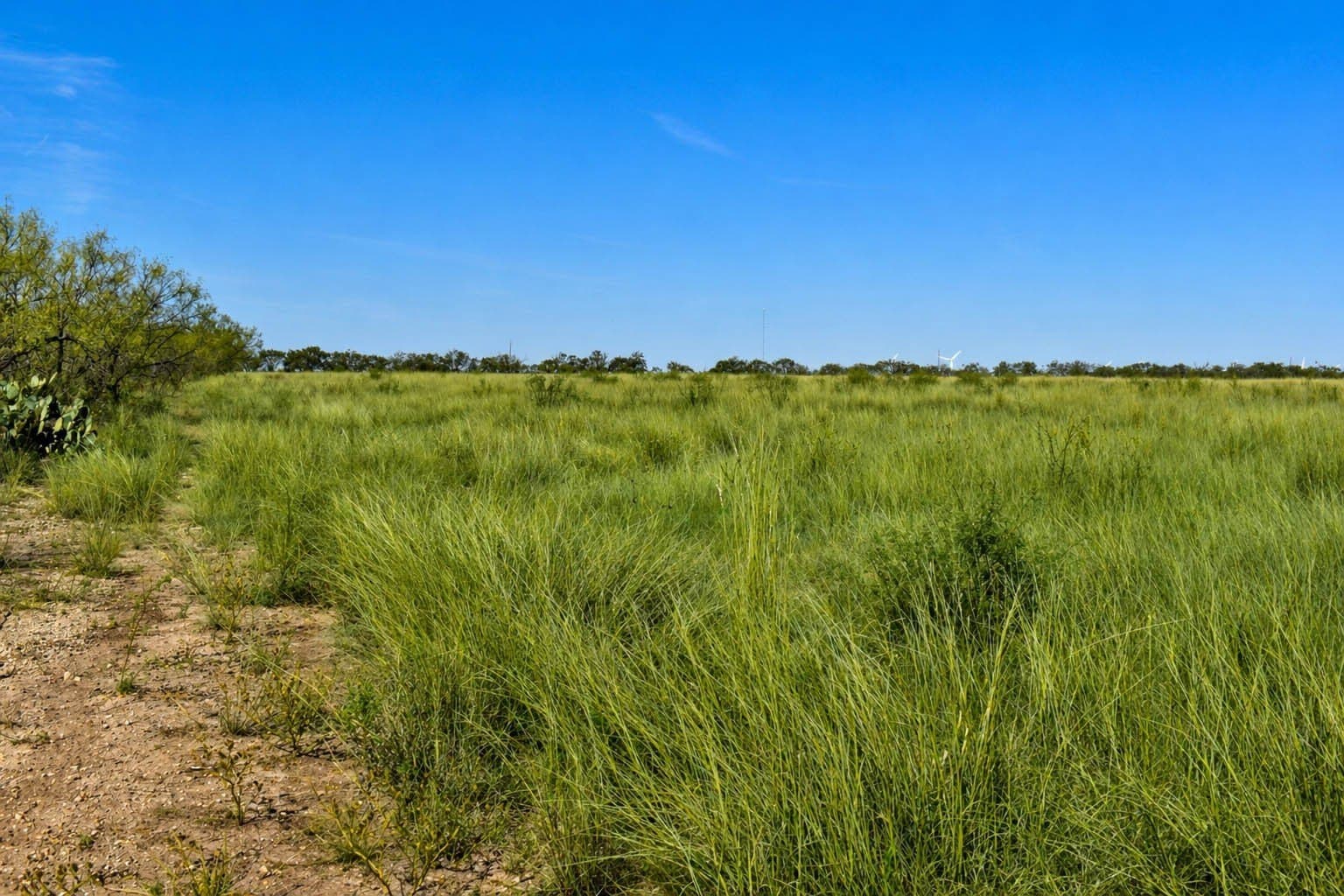 20 acres in McCulloch County - photo 4