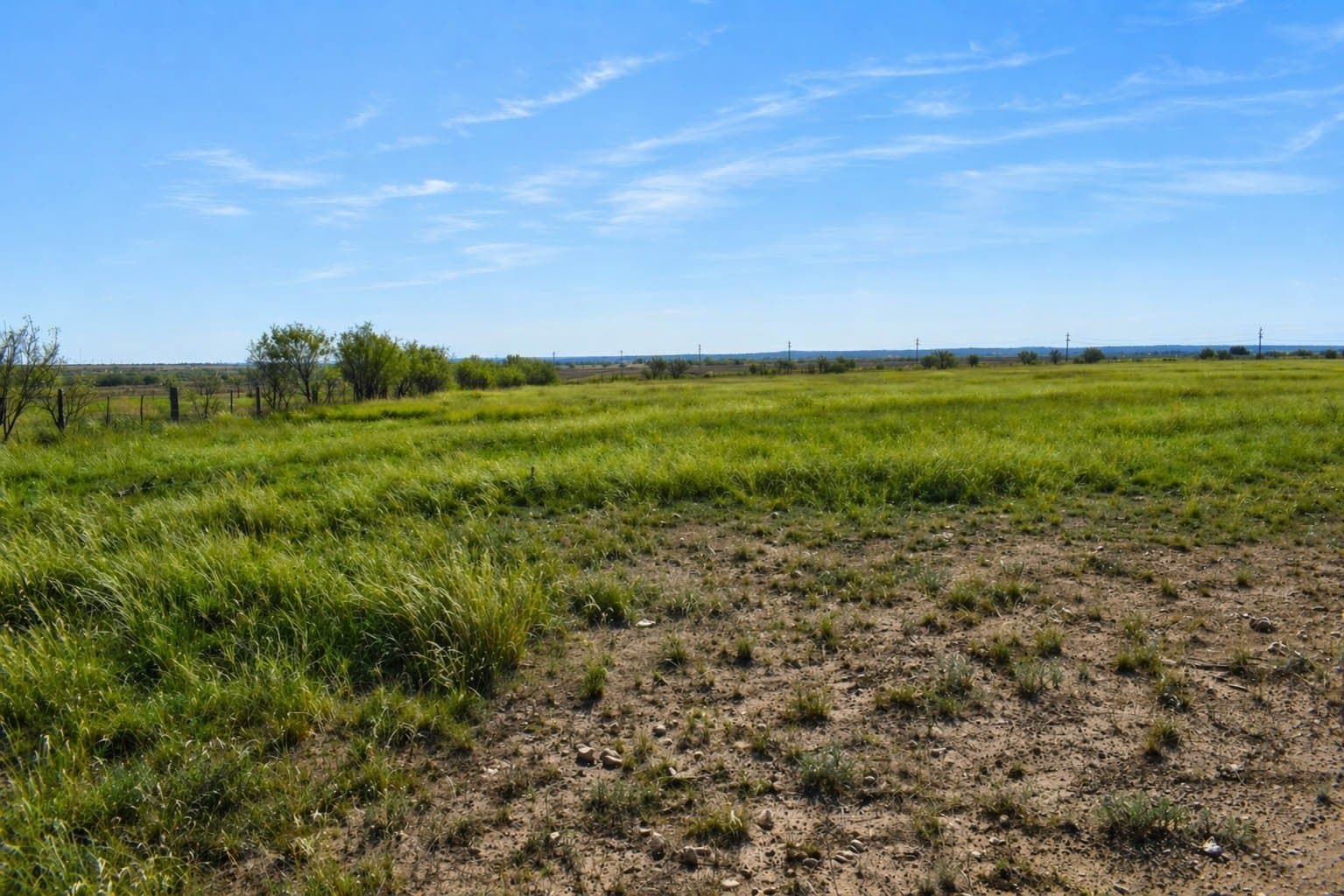 20 acres in McCulloch County - photo 3