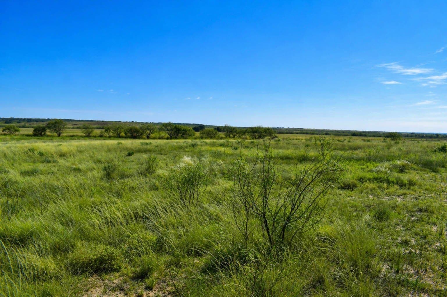 20 acres in McCulloch County