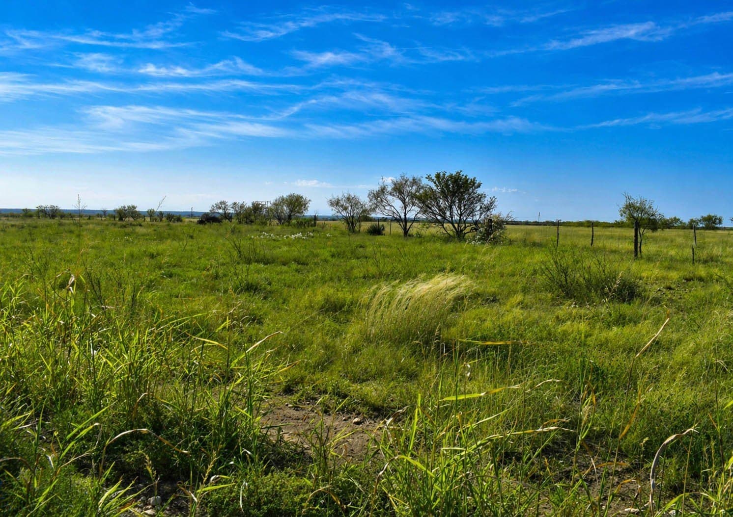 20 acres in McCulloch County - photo 2