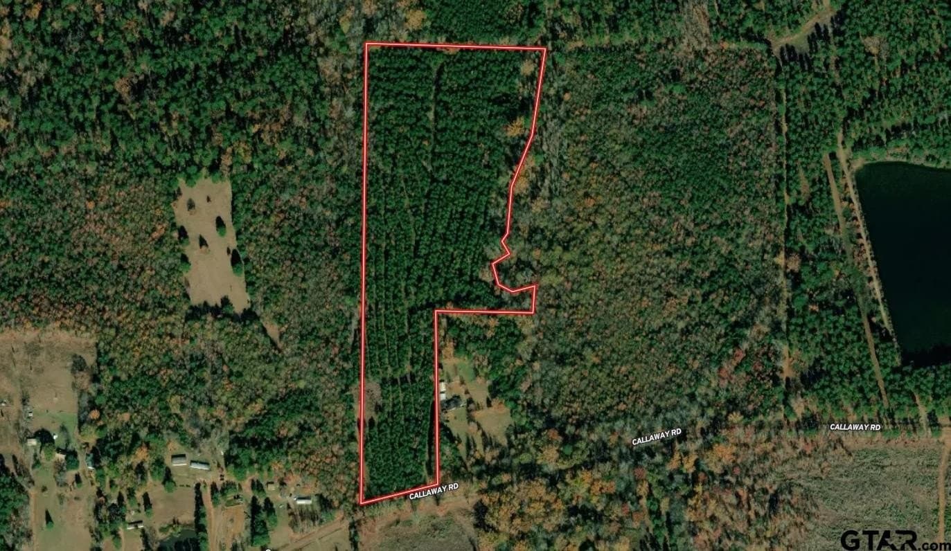 21.76 acres in Harrison County gallery image 3