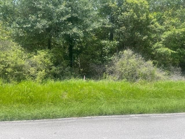 5 acres in Texas County gallery image 3