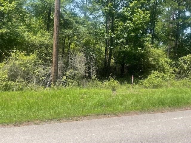 5 acres in Texas County featured view