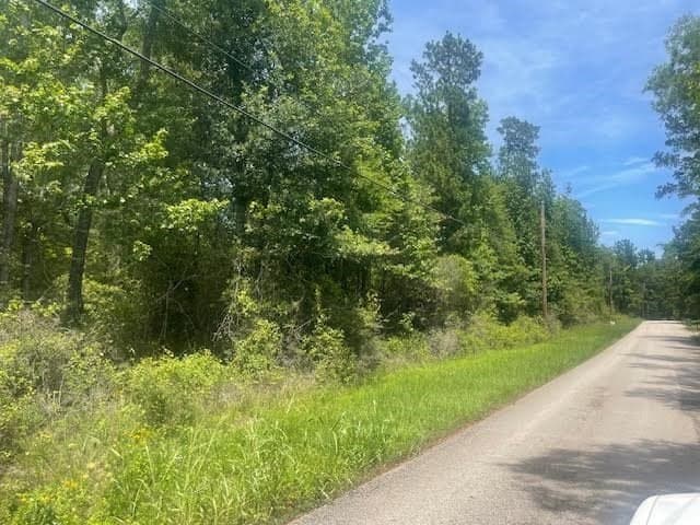 5 acres in Texas County gallery image 4