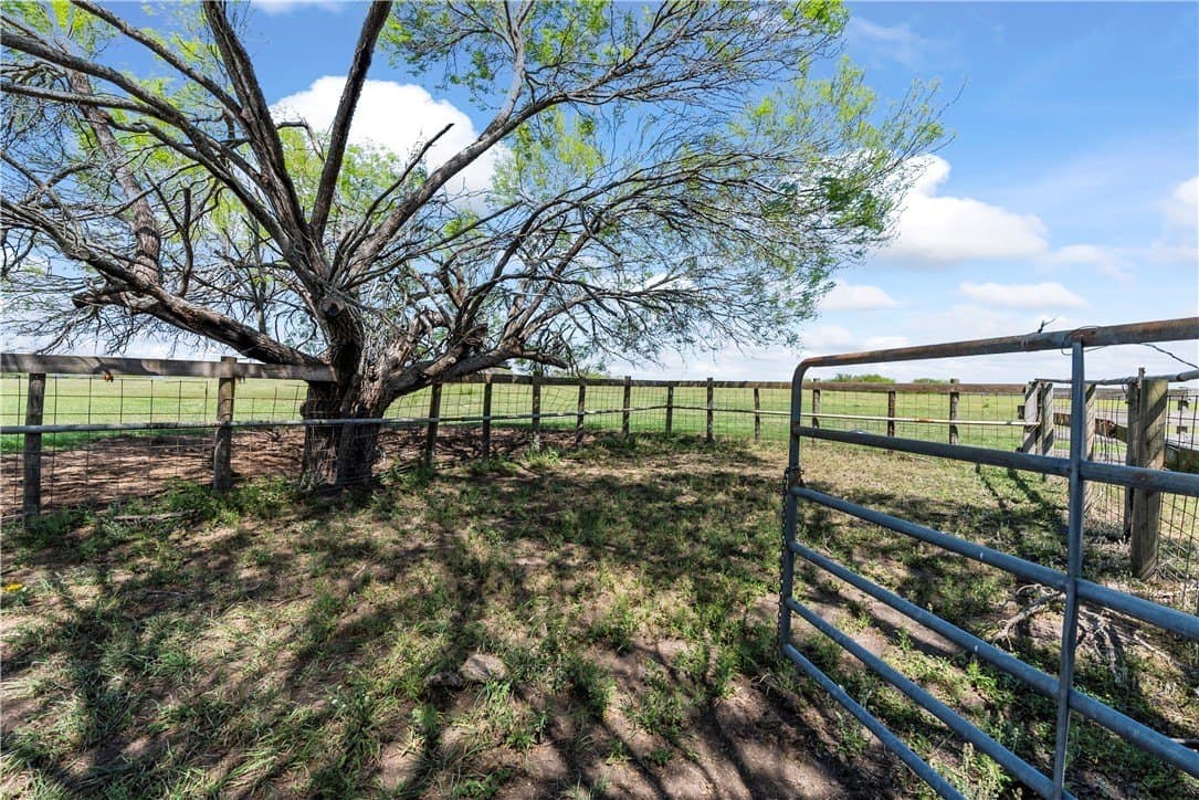11.25 acres in Kleberg County - photo 8