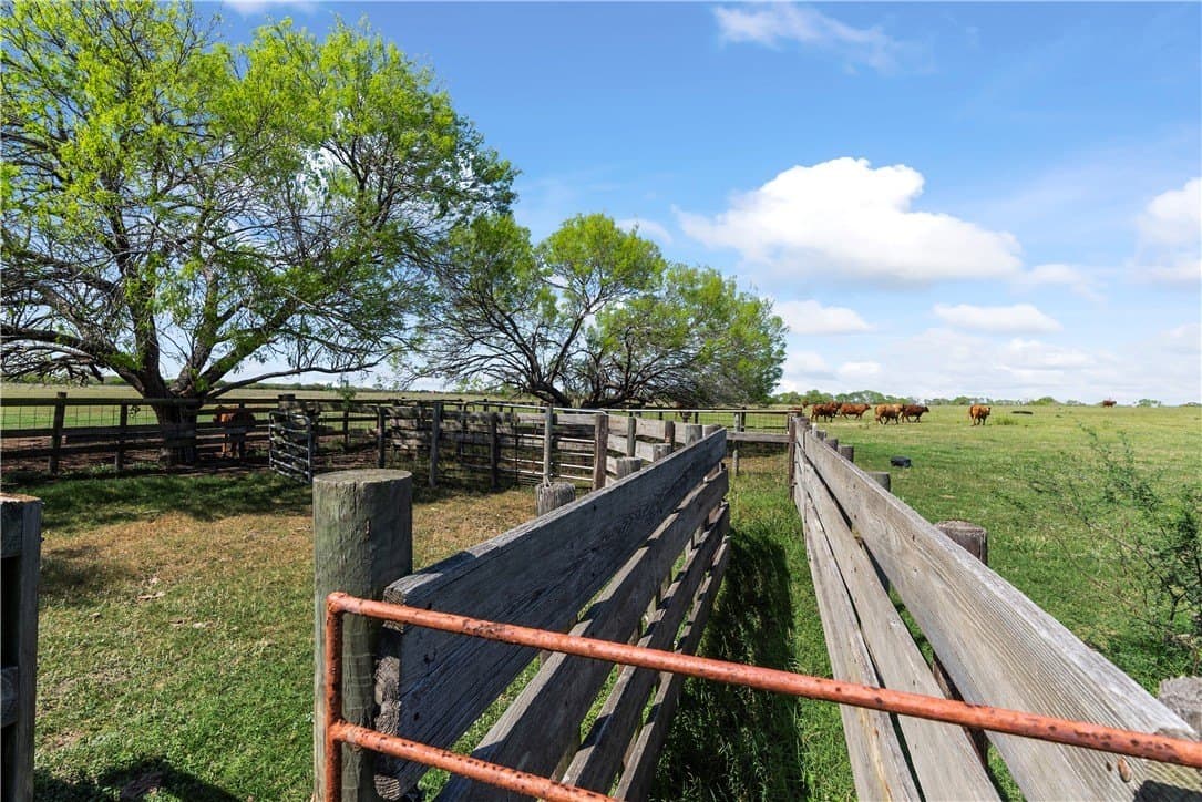 11.25 acres in Kleberg County - photo 11