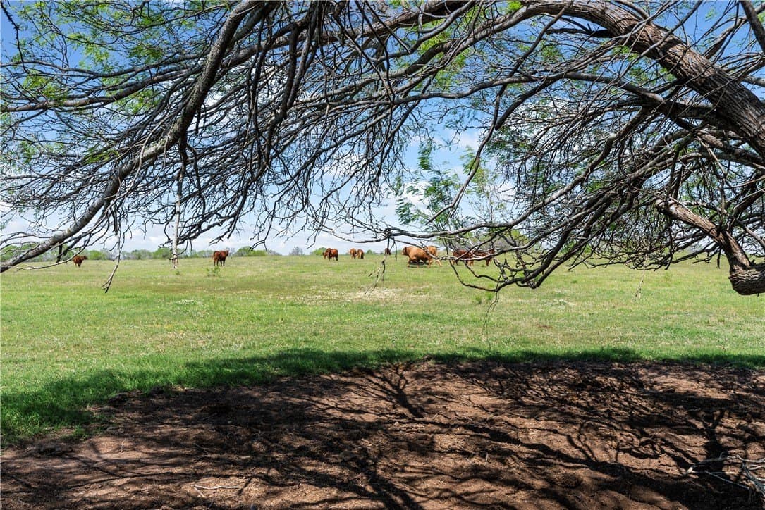 11.25 acres in Kleberg County - photo 5