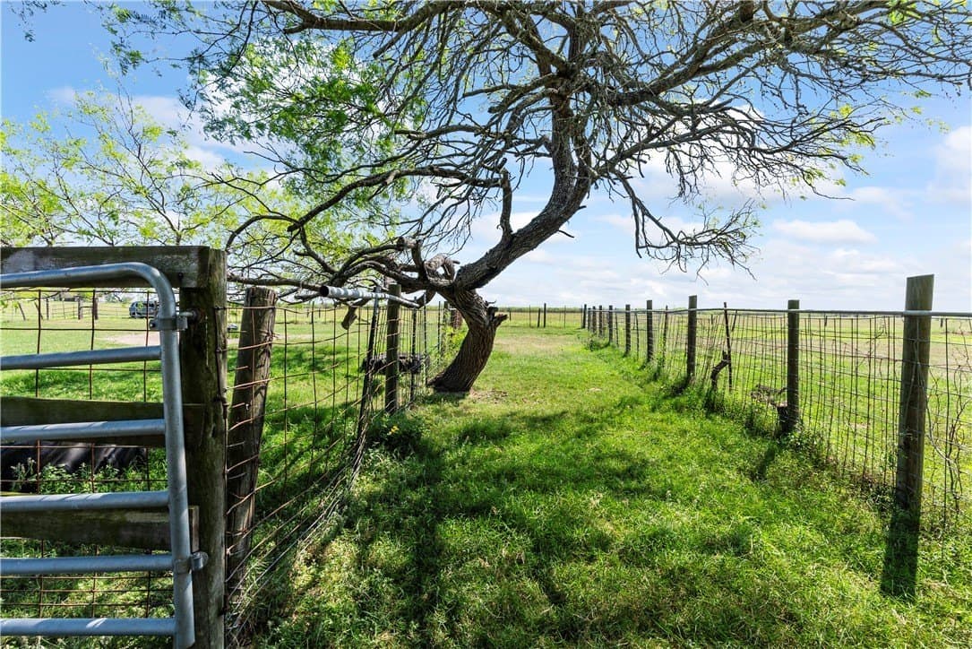 11.25 acres in Kleberg County - photo 10