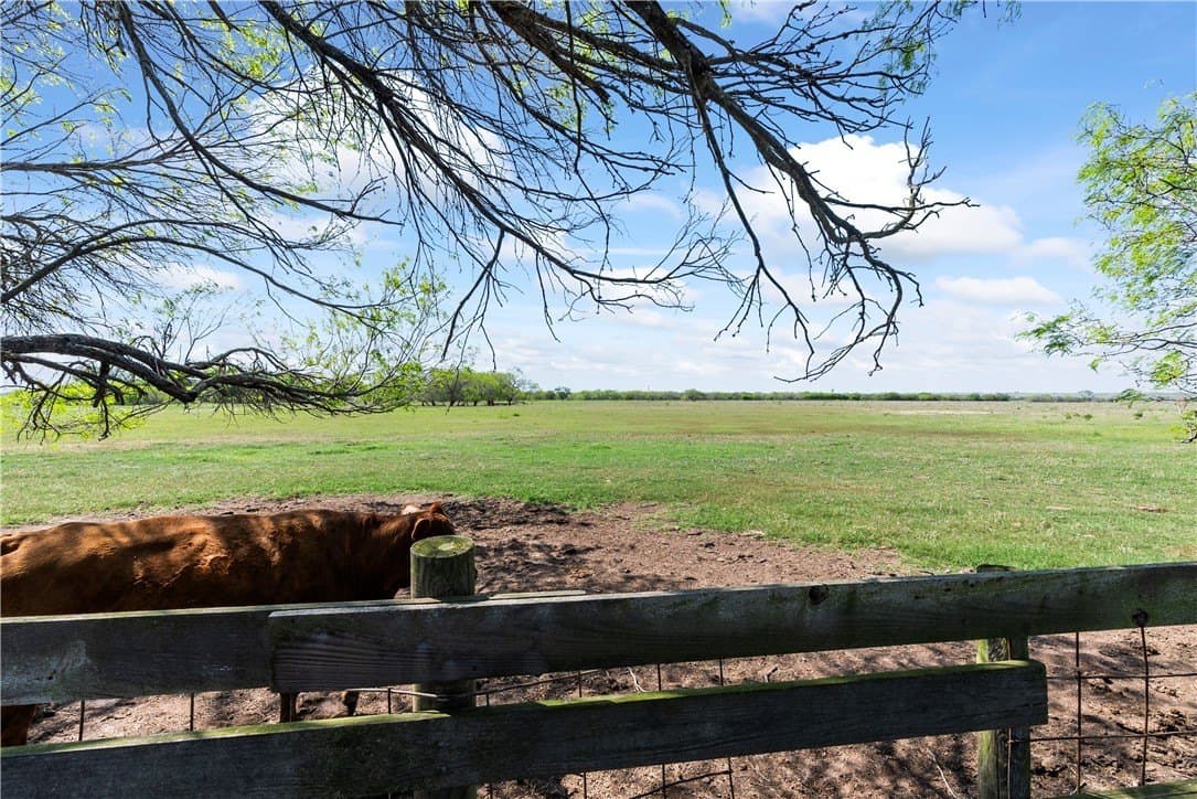 11.25 acres in Kleberg County - photo 7
