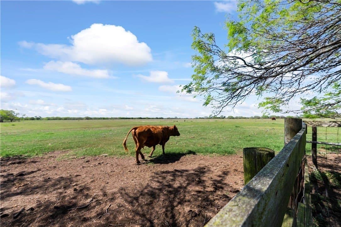 11.25 acres in Kleberg County - photo 6