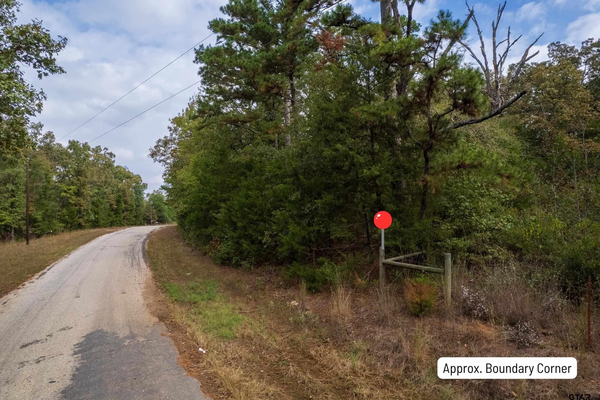 44.65 acres in Camp County gallery image 4