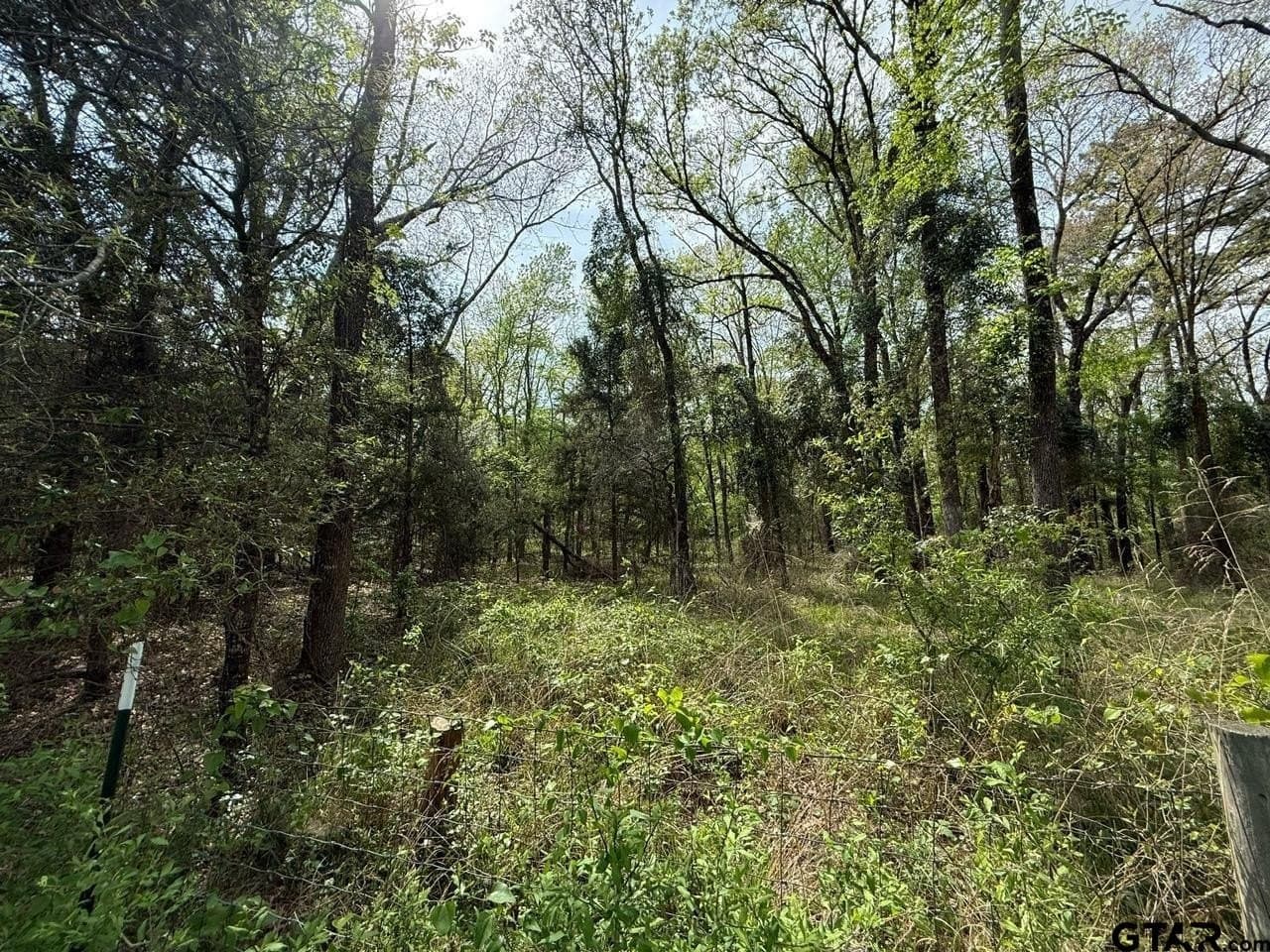 8.69 acres in Wood County - photo 19