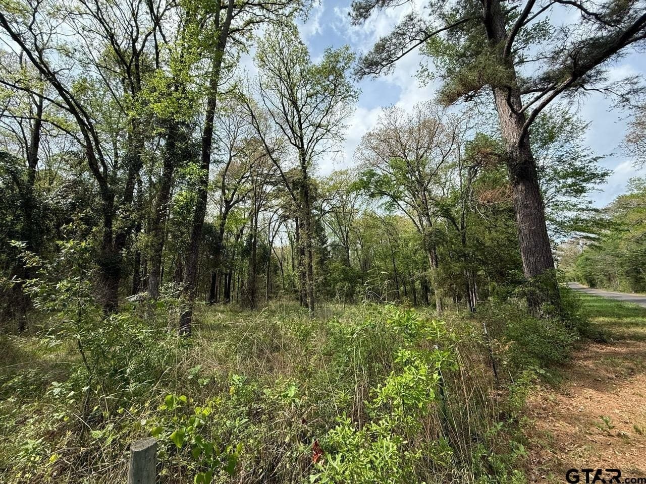 8.69 acres in Wood County - photo 15
