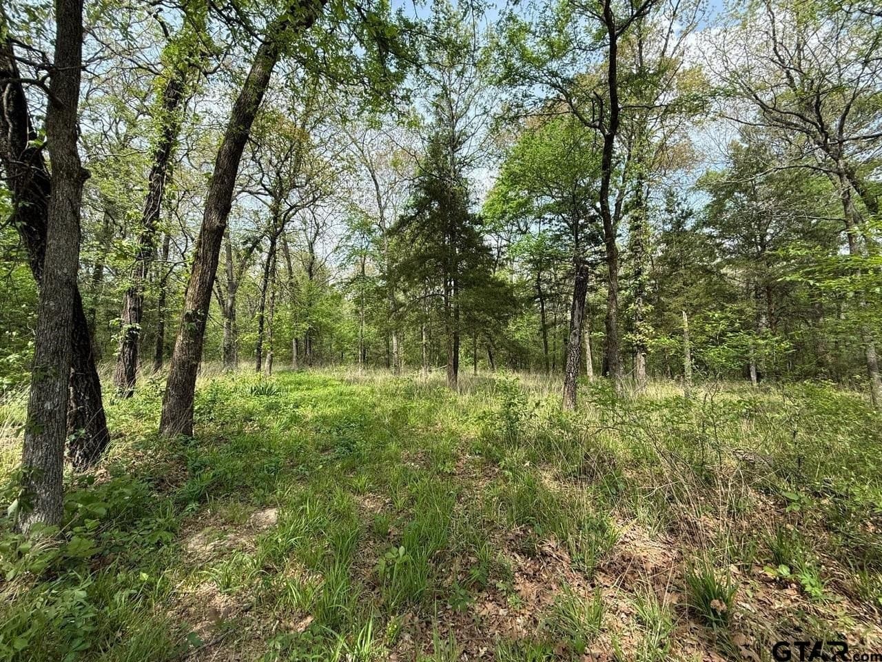 8.69 acres in Wood County - photo 11