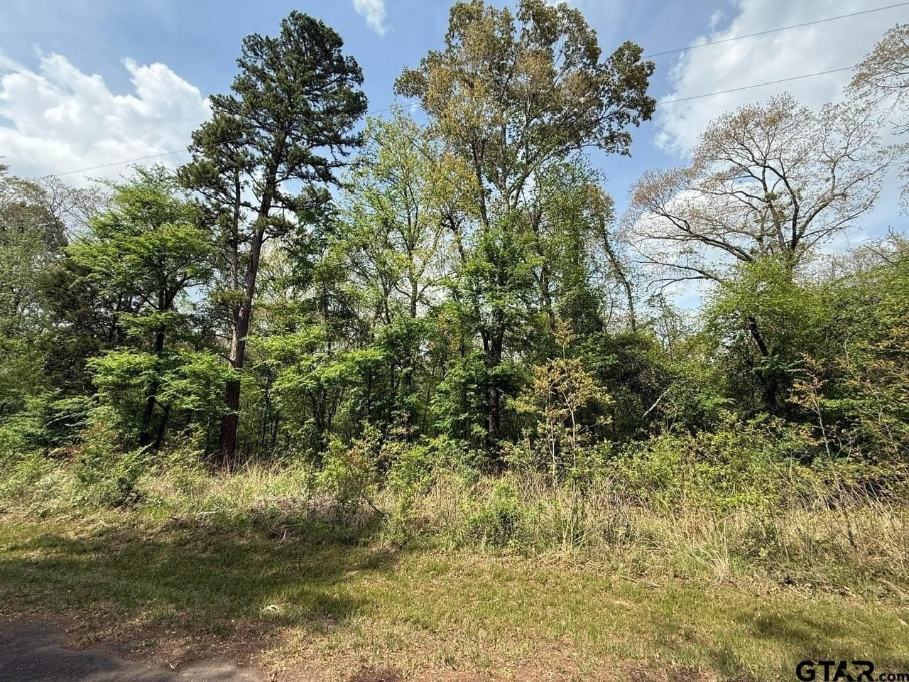 8.69 acres in Wood County - photo 16