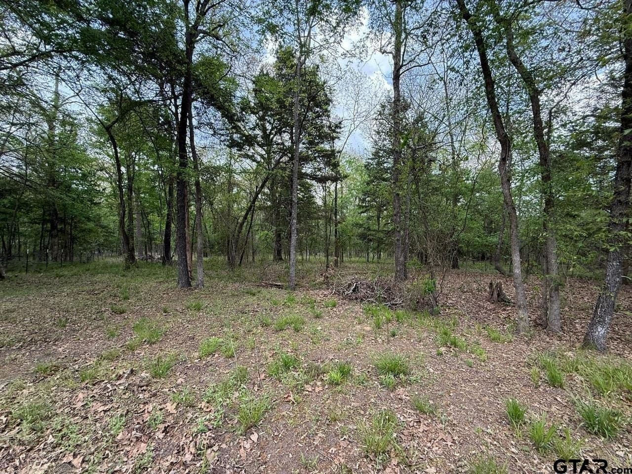 8.69 acres in Wood County - photo 18