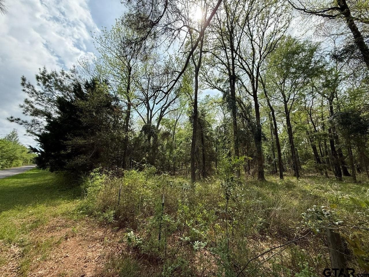 8.69 acres in Wood County - photo 14