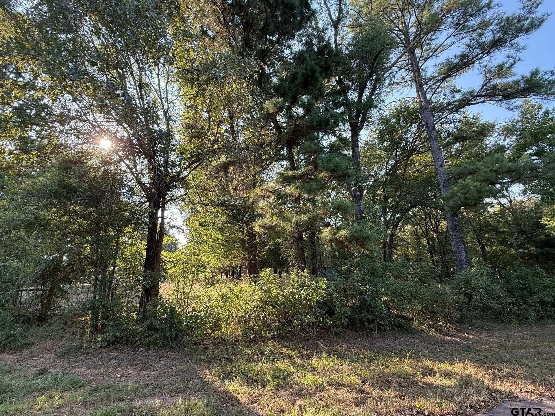 8.69 acres in Wood County - photo 13