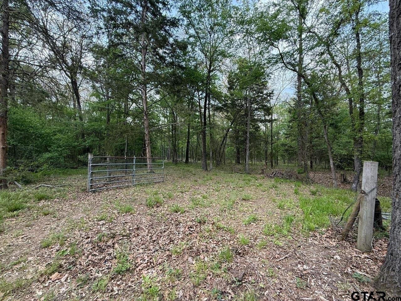 8.69 acres in Wood County - photo 8
