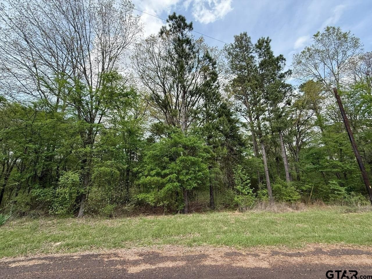 8.69 acres in Wood County - photo 24