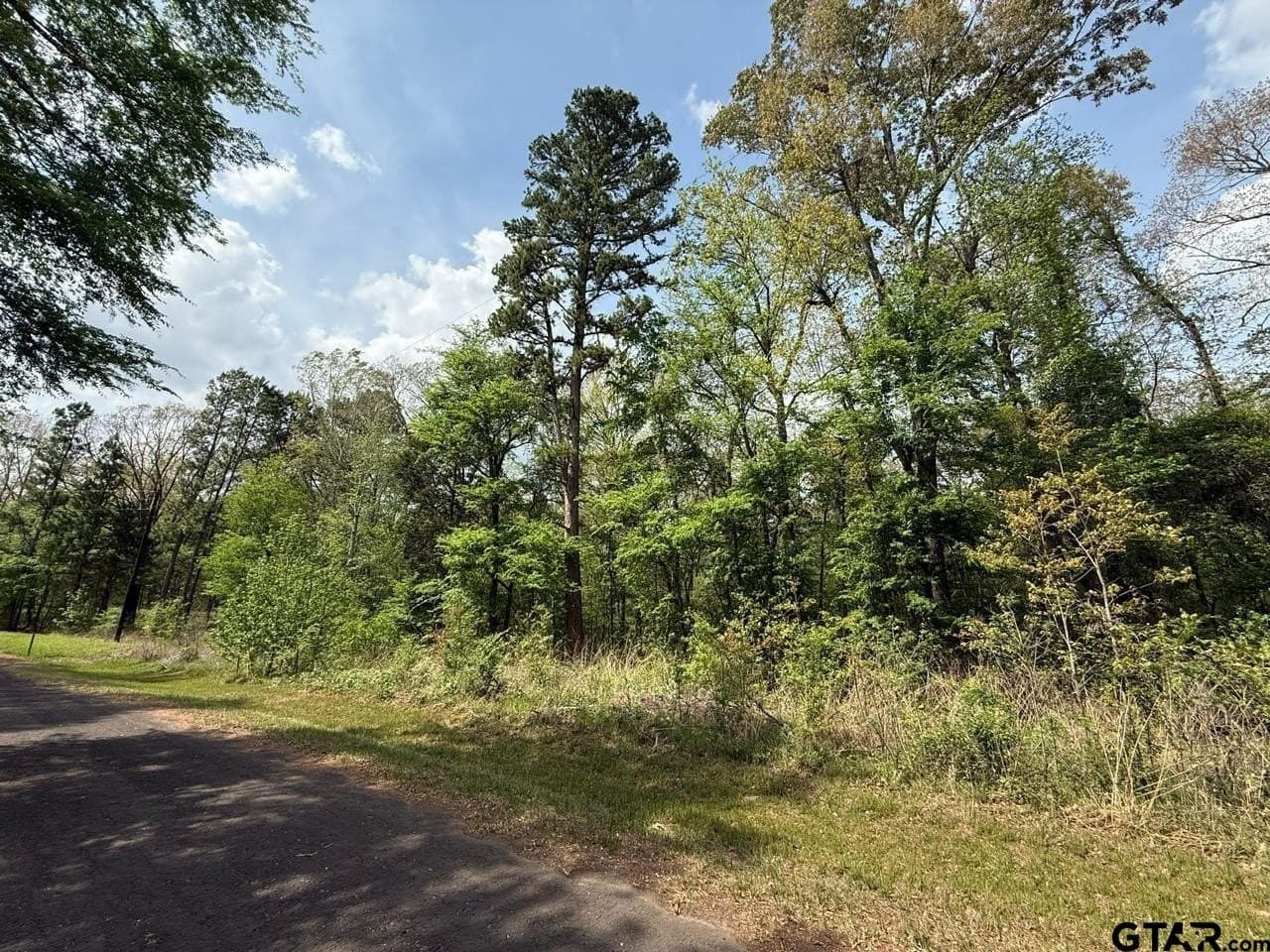 8.69 acres in Wood County - photo 20