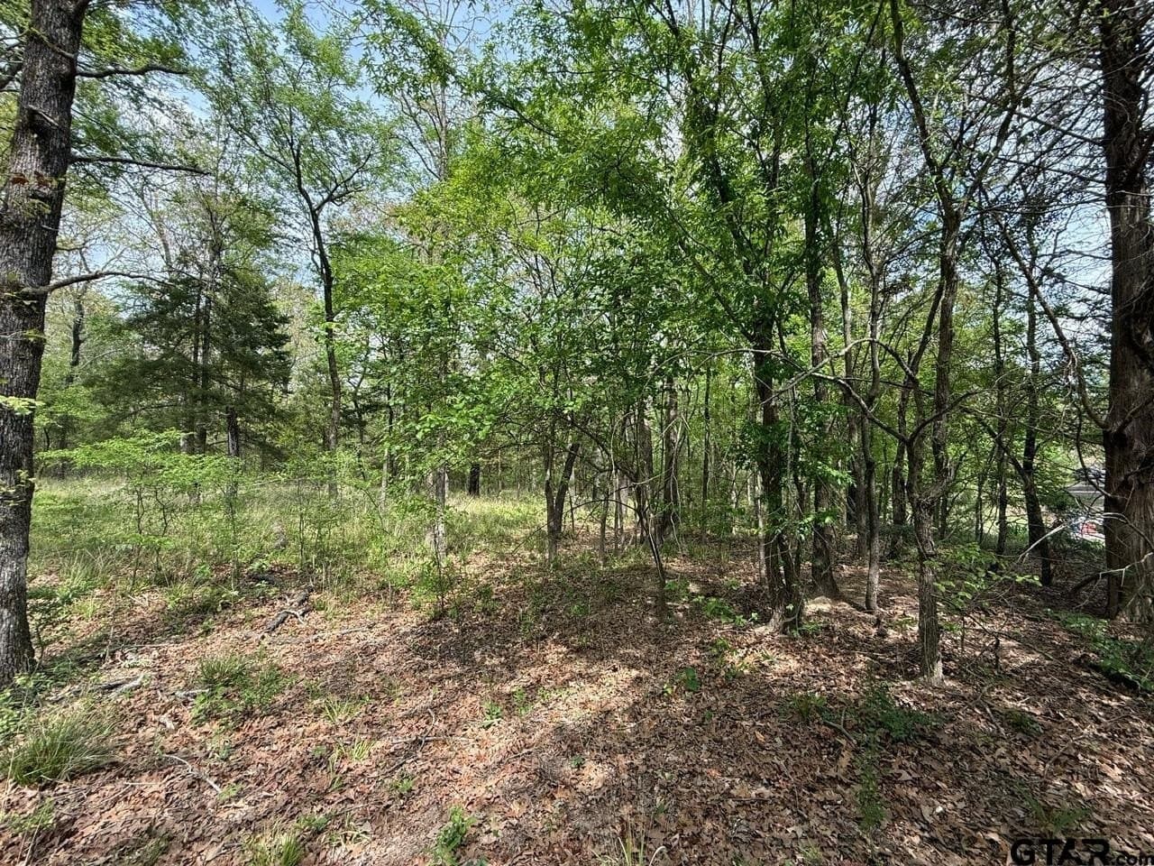 8.69 acres in Wood County - photo 25