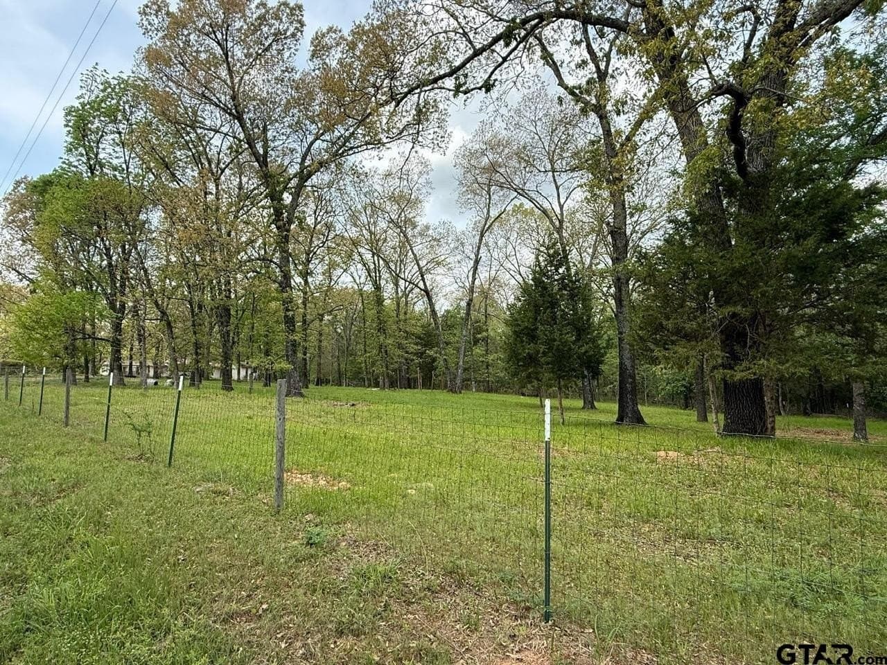 8.69 acres in Wood County gallery image 2