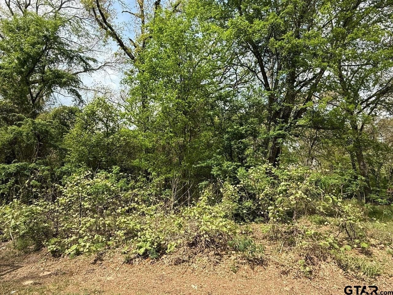 8.69 acres in Wood County - photo 22