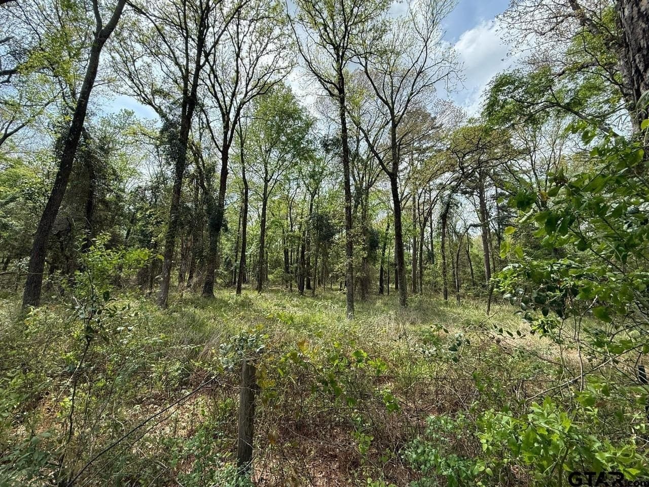 8.69 acres in Wood County - photo 12