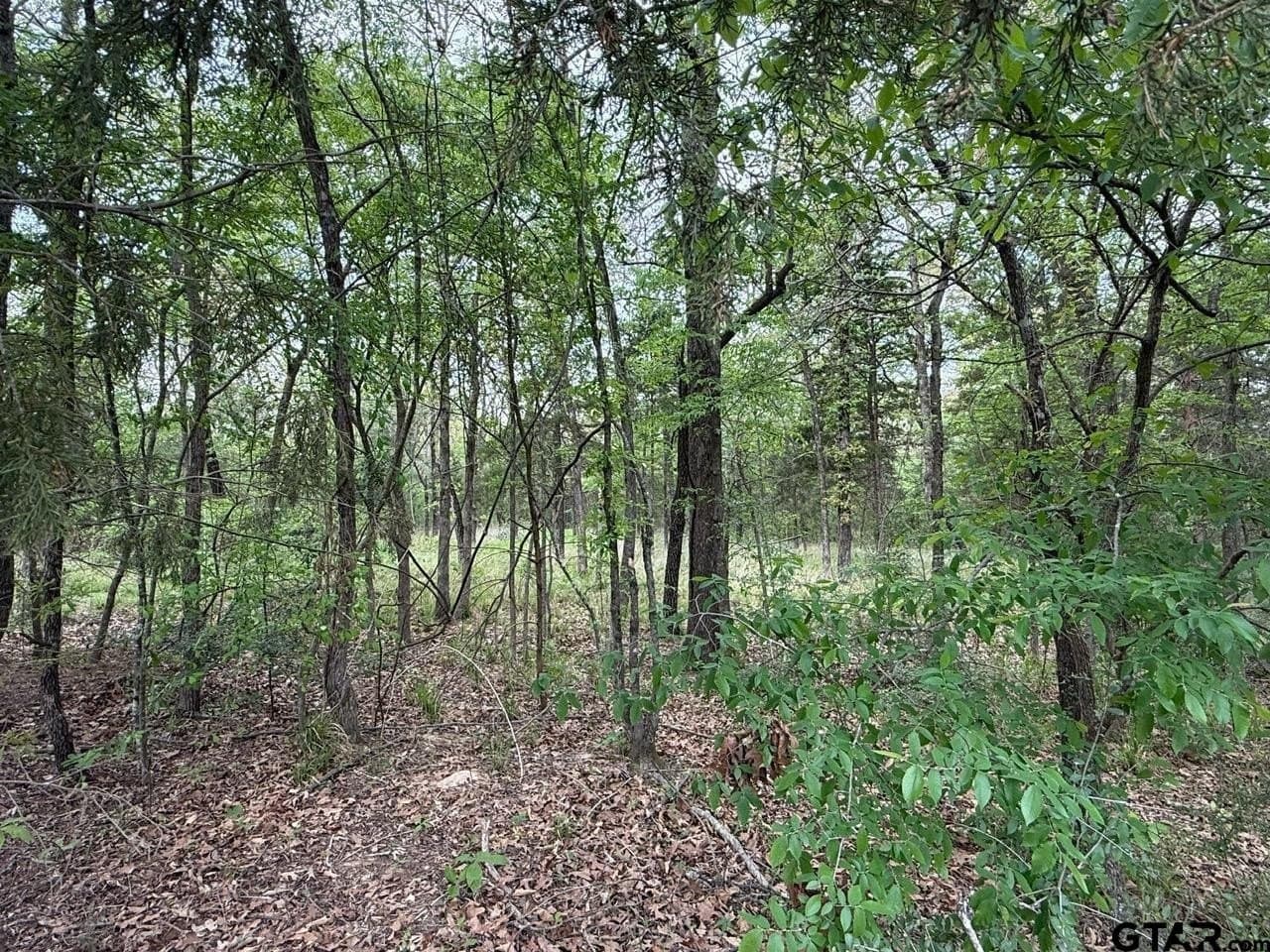 8.69 acres in Wood County - photo 17