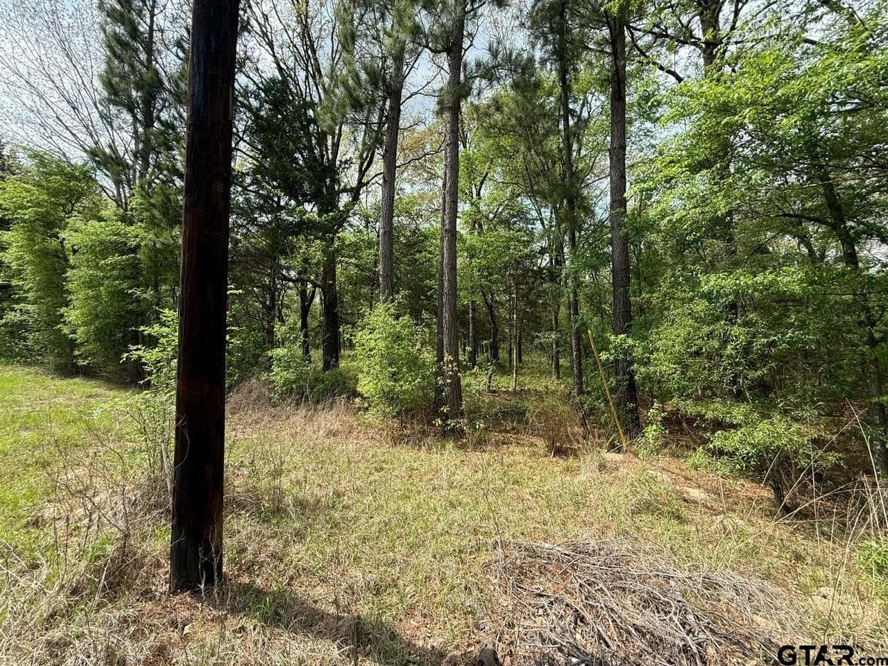 8.69 acres in Wood County - photo 23