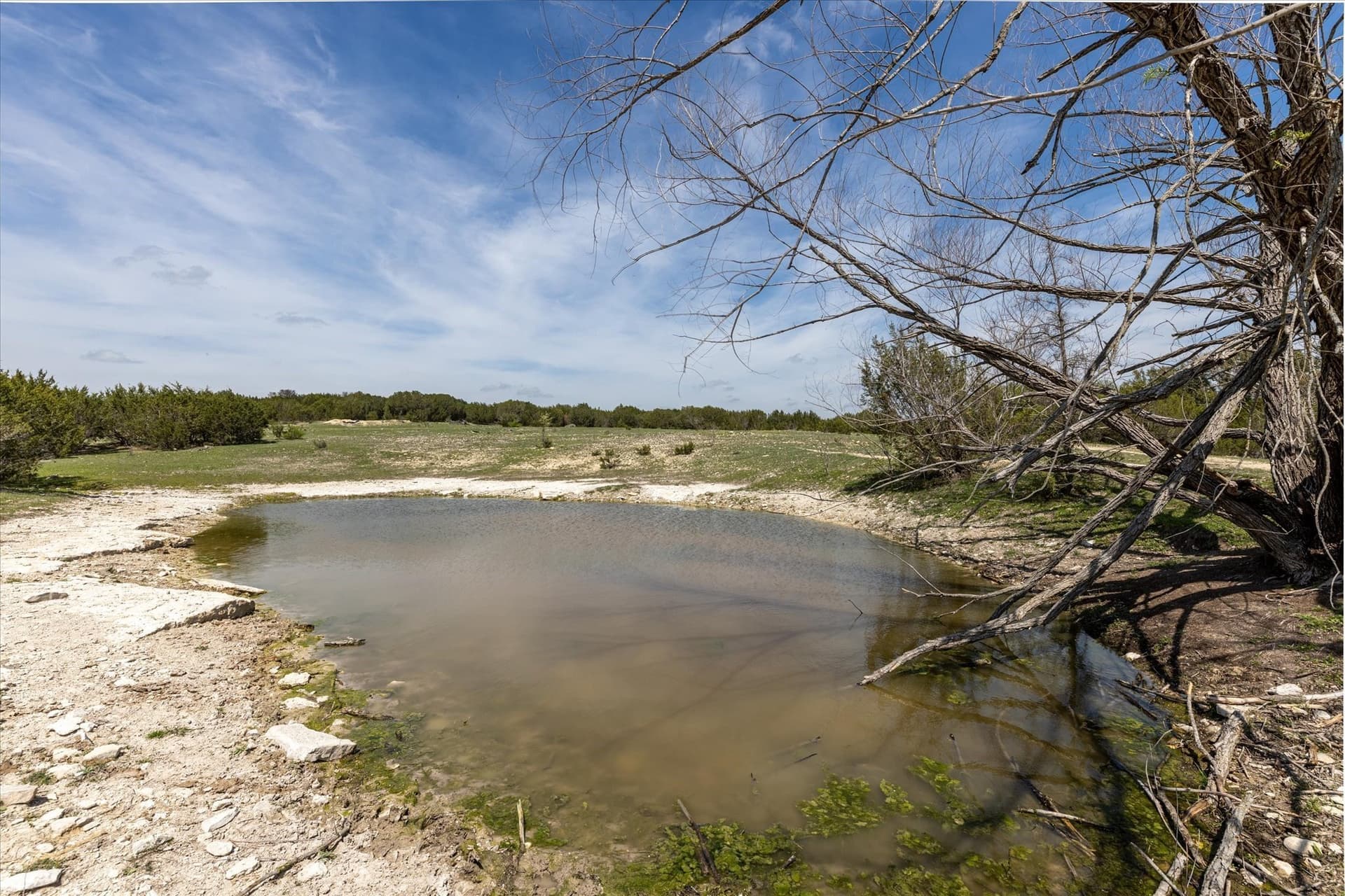 56.81 acres in Erath County - photo 5