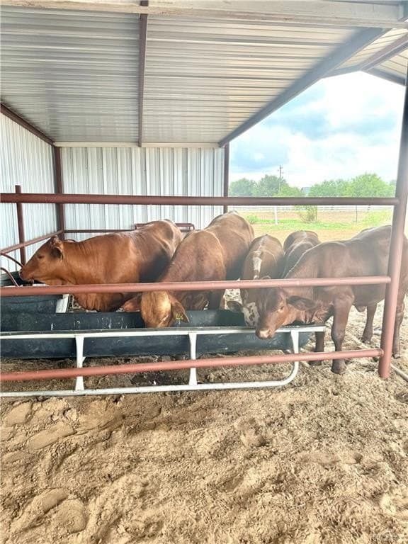 5.22 acres in Hidalgo County - photo 8