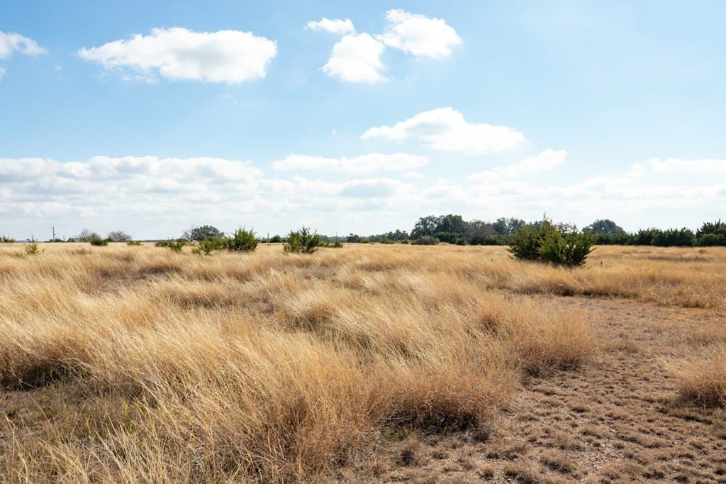 18.35 acres in Gillespie County gallery image 3