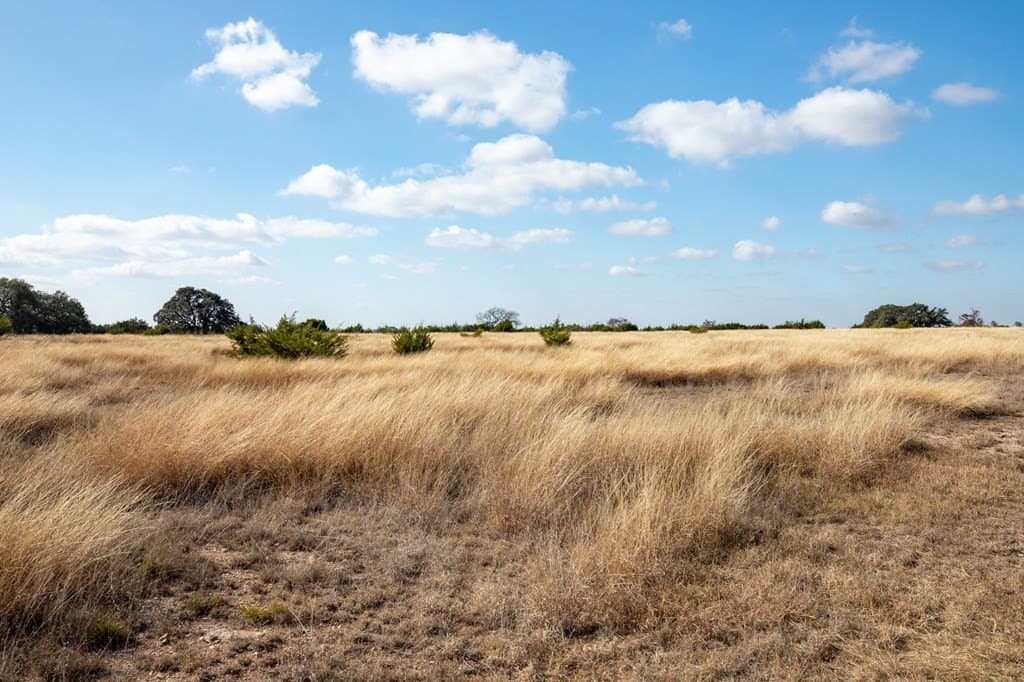 18.35 acres in Gillespie County gallery image 4