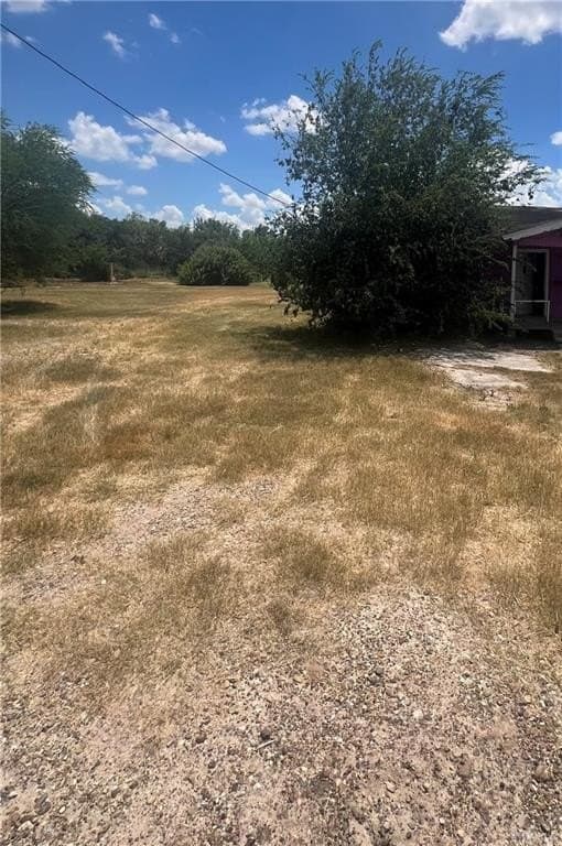0.65 acres in Hidalgo County gallery image 2