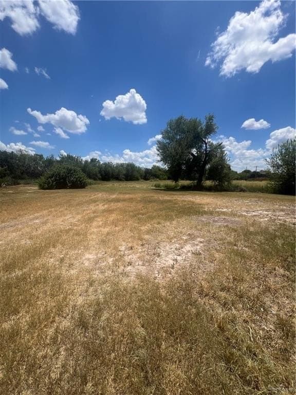 0.65 acres in Hidalgo County gallery image 3