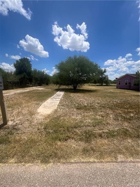 0.65 acres in Hidalgo County gallery image 4