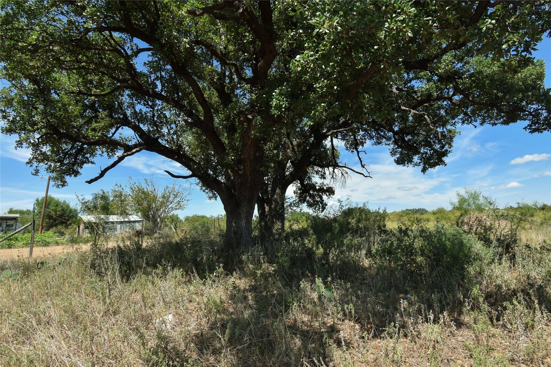 0.79 acres in Concho County - photo 3