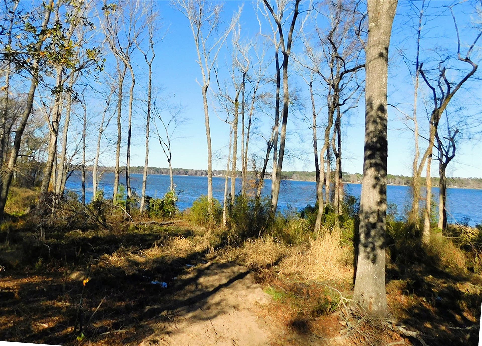 1.19 acres in Henderson County - photo 14