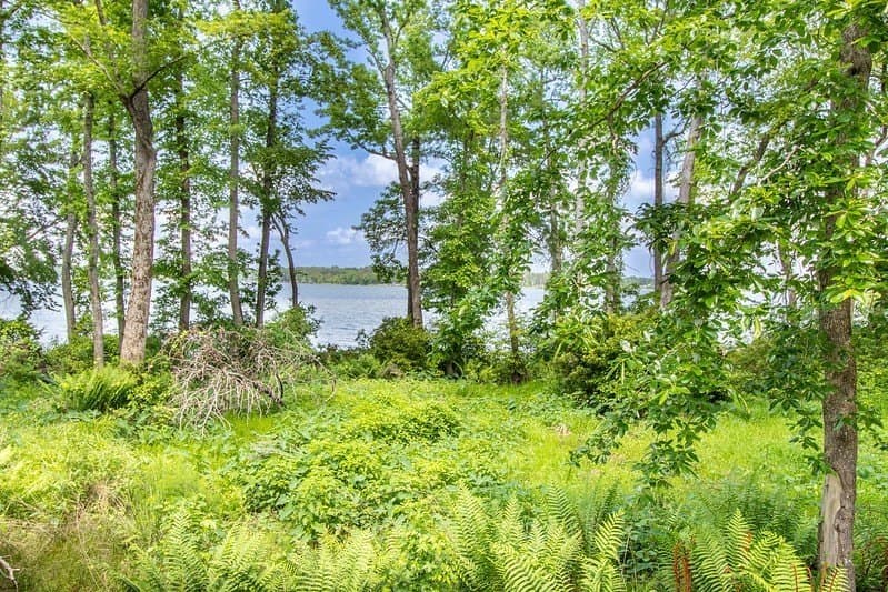 1.19 acres in Henderson County - photo 10