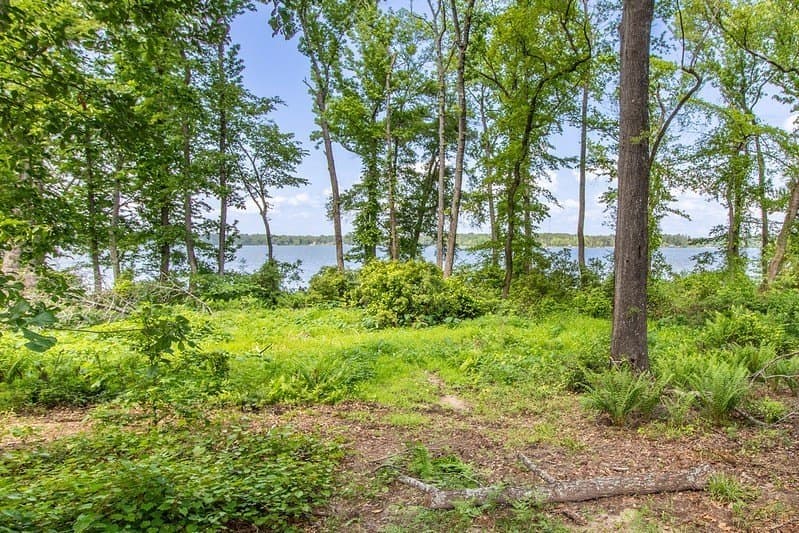 1.19 acres in Henderson County - photo 13