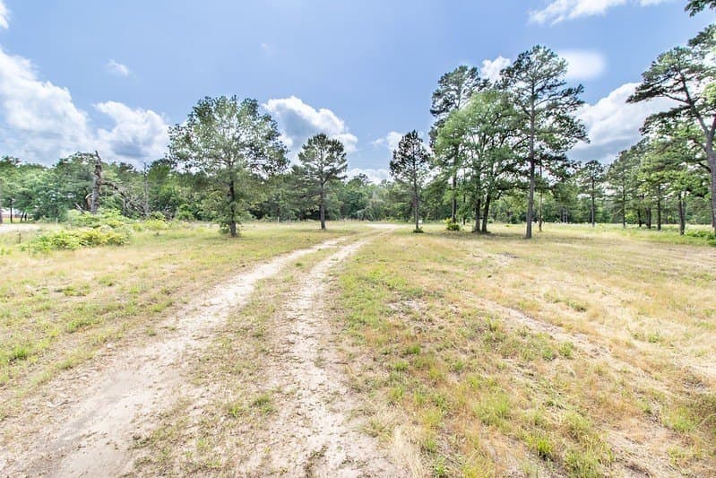 1.19 acres in Henderson County - photo 11