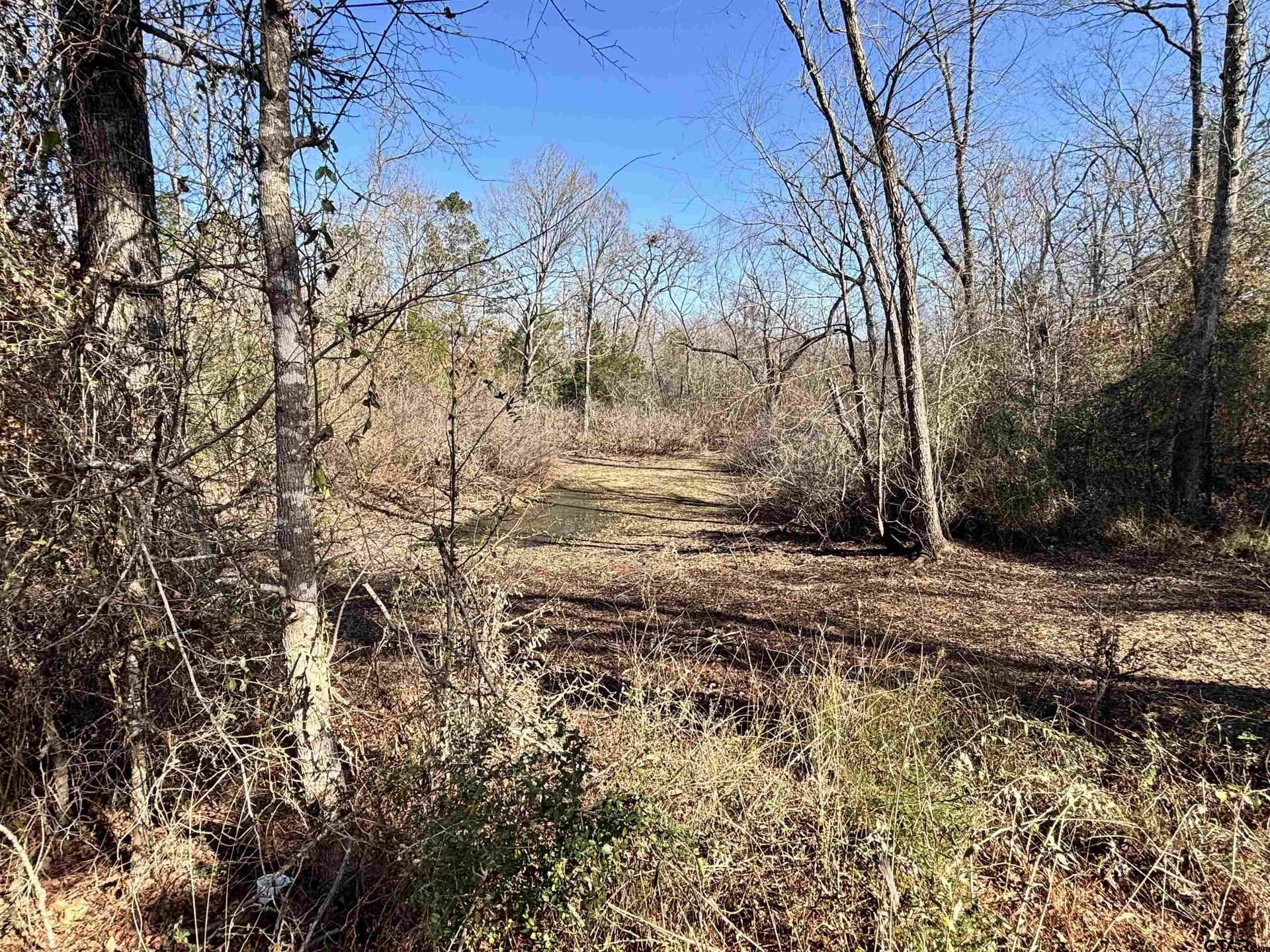4 acres in Rusk County